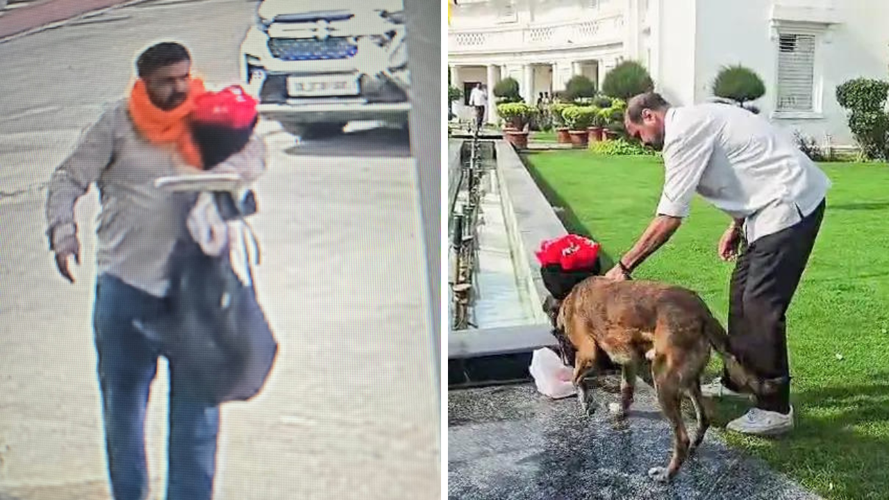 Delhi Assembly Security Scare: Car Breaches Gate 2, Suspect Apprehended